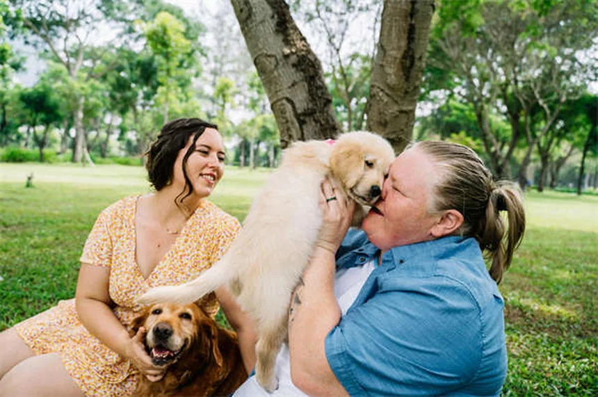 5 Proven Dog Calming Products That Actually Work (Backed by Science)
