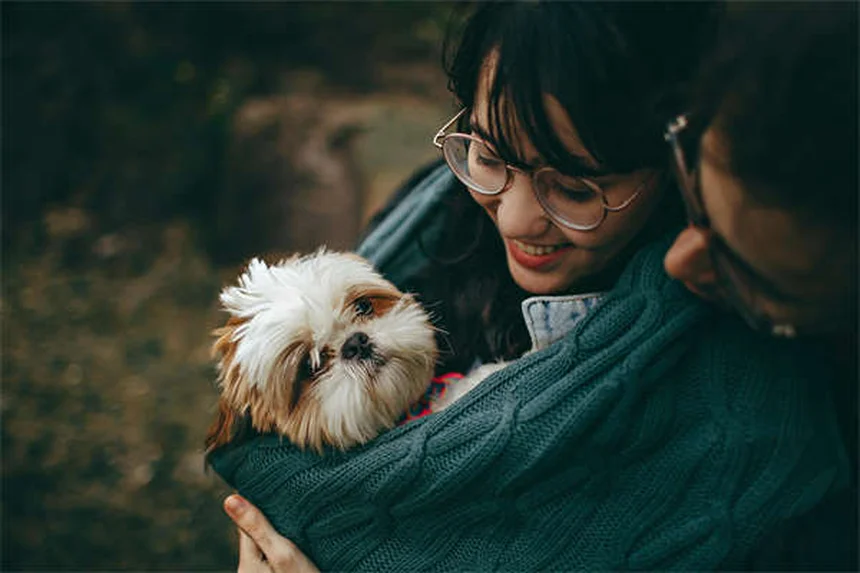 Dog Asthma: 5 Signs Your Pup Can't Breathe Right